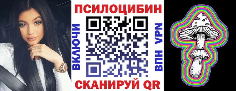 KRAKEN зеркало  Череповец  Галлюциногенные грибы прущие грибы 