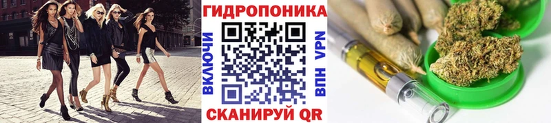 Бошки Шишки планчик Череповец
